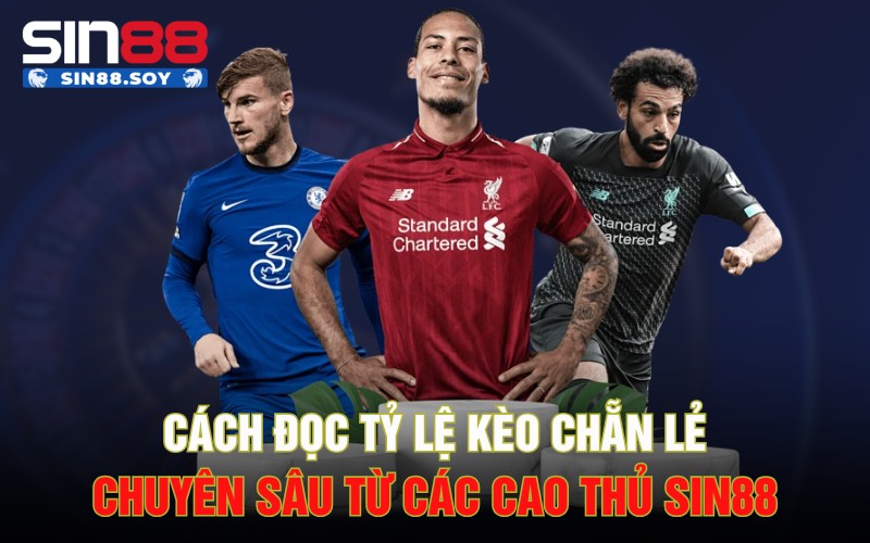 Cách Đọc Tỷ Lệ Kèo Chẵn Lẻ Chuyên Sâu Từ Các Cao Thủ Sin88 8 Cách Đọc Tỷ Lệ Kèo Chẵn Lẻ Chuyên Sâu Từ Các Cao Thủ Sin88